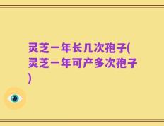 灵芝一年长几次孢子(灵芝一年可产多次孢子)