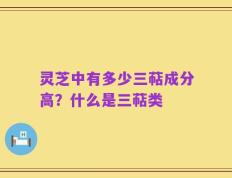 灵芝中有多少三萜成分高？什么是三萜类