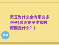 灵芝为什么会有那么多孢子(灵芝孢子丰富的原因是什么？)
