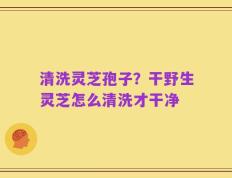 清洗灵芝孢子？干野生灵芝怎么清洗才干净