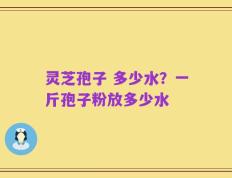 灵芝孢子 多少水？一斤孢子粉放多少水