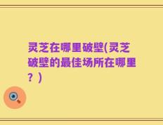 灵芝在哪里破壁(灵芝破壁的最佳场所在哪里？)