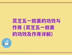 灵芝五一胶囊的功效与作用 (灵芝五一胶囊的功效及作用详解)