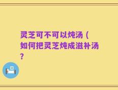 灵芝可不可以炖汤 (如何把灵芝炖成滋补汤？