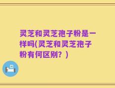 灵芝和灵芝孢子粉是一样吗(灵芝和灵芝孢子粉有何区别？)