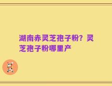 湖南赤灵芝孢子粉？灵芝孢子粉哪里产