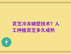 灵芝冷冻破壁技术？人工种植灵芝多久成熟