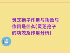 灵芝孢子作用与功效与作用是什么(灵芝孢子的功效及作用分析)