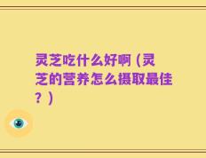 灵芝吃什么好啊 (灵芝的营养怎么摄取最佳？)
