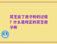 灵芝出了孢子粉的过程？什么是纯正的灵芝孢子粉