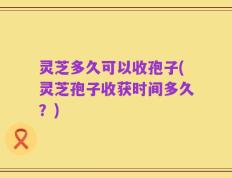 灵芝多久可以收孢子(灵芝孢子收获时间多久？)