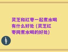 灵芝和红枣一起煮水喝有什么好处 (灵芝红枣同煮水喝的好处)