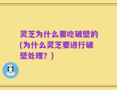 灵芝为什么要吃破壁的(为什么灵芝要进行破壁处理？)
