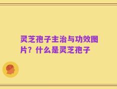 灵芝孢子主治与功效图片？什么是灵芝孢子