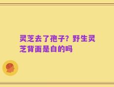 灵芝去了孢子？野生灵芝背面是白的吗