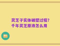 灵芝子实体破壁过程？千年灵芝原液怎么用