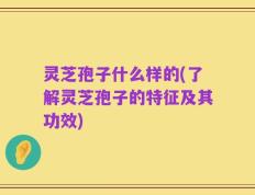 灵芝孢子什么样的(了解灵芝孢子的特征及其功效)