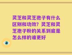 灵芝和灵芝孢子有什么区别和功效？灵芝和灵芝孢子粉的关系到底是怎么样的谁更好