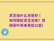 灵芝加什么泡茶好 (如何搭配灵芝泡茶？顶级茶叶带来更佳口感)