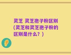 灵芝 灵芝孢子粉区别(灵芝和灵芝孢子粉的区别是什么？)