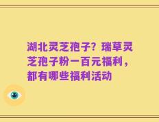 湖北灵芝孢子？瑞草灵芝孢子粉一百元福利，都有哪些福利活动