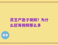 灵芝产孢子视频？为什么赶海视频那么多