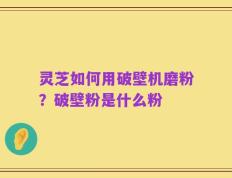 灵芝如何用破壁机磨粉？破壁粉是什么粉