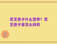 灵芝孢子什么营养？灵芝孢子是怎么样的