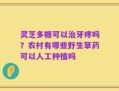 灵芝多糖可以治牙疼吗？农村有哪些野生草药可以人工种植吗