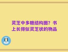 灵芝中多糖结构图？书上长得似灵芝状的物品
