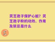 灵芝孢子保护心脏？灵芝孢子粉的功效、作用及禁忌是什么