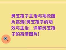 灵芝孢子主治与功效图片高清(灵芝孢子的功效与主治：详解灵芝孢子的高清图片)