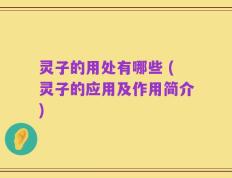 灵子的用处有哪些 (灵子的应用及作用简介)