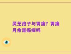 灵芝孢子与胃痛？胃痛月余是癌症吗