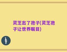 灵芝出了孢子(灵芝孢子让世界瞩目)