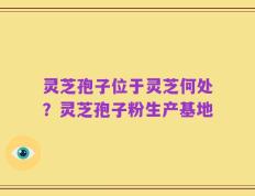 灵芝孢子位于灵芝何处？灵芝孢子粉生产基地