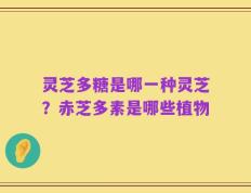 灵芝多糖是哪一种灵芝？赤芝多素是哪些植物
