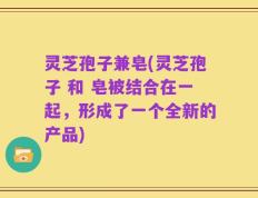 灵芝孢子兼皂(灵芝孢子 和 皂被结合在一起，形成了一个全新的产品)