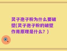 灵子孢子粉为什么要破壁(灵子孢子粉的破壁作用原理是什么？)