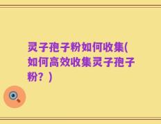 灵子孢子粉如何收集(如何高效收集灵子孢子粉？)