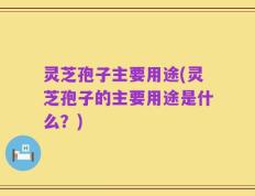 灵芝孢子主要用途(灵芝孢子的主要用途是什么？)