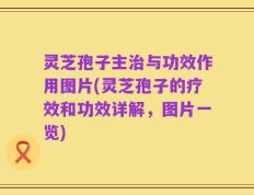 灵芝孢子主治与功效作用图片(灵芝孢子的疗效和功效详解，图片一览)