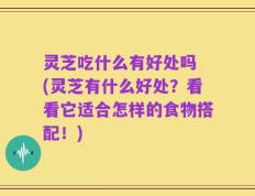 灵芝吃什么有好处吗 (灵芝有什么好处？看看它适合怎样的食物搭配！)