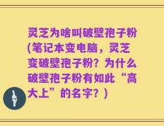 灵芝为啥叫破壁孢子粉(笔记本变电脑，灵芝变破壁孢子粉？为什么破壁孢子粉有如此“高大上”的名字？)