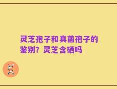 灵芝孢子和真菌孢子的鉴别？灵芝含硒吗