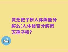 灵芝孢子粉人体酶能分解么(人体能否分解灵芝孢子粉？