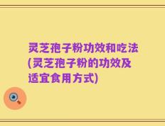 灵芝孢子粉功效和吃法(灵芝孢子粉的功效及适宜食用方式)