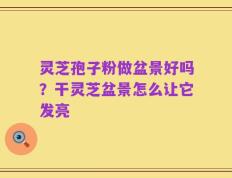 灵芝孢子粉做盆景好吗？干灵芝盆景怎么让它发亮
