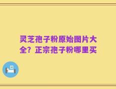 灵芝孢子粉原始图片大全？正宗孢子粉哪里买