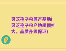 灵芝孢子粉原产基地(灵芝孢子粉产地规模扩大，品质升级保证)